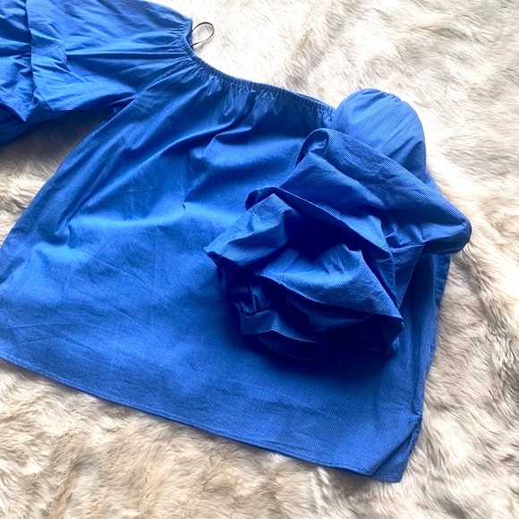 Zara off shoulder blue stipe ruffle sleeve Top (L) - Picture 6 of 7